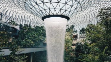green feature at changi airport